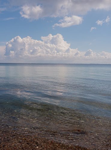 L1210052-2-470x570
